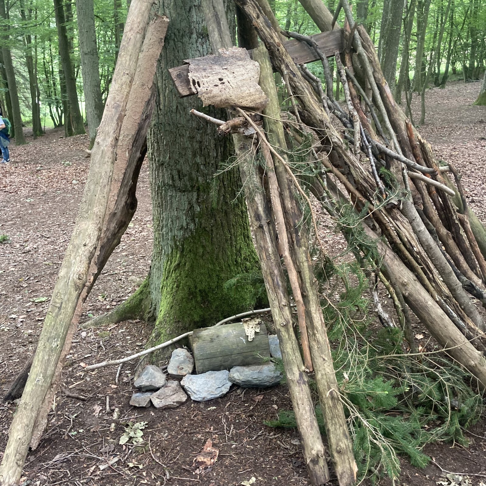 Ein aus Ästen gebauter Unterschlupf im Wald